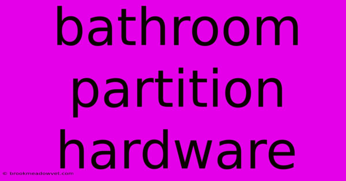 Bathroom Partition Hardware