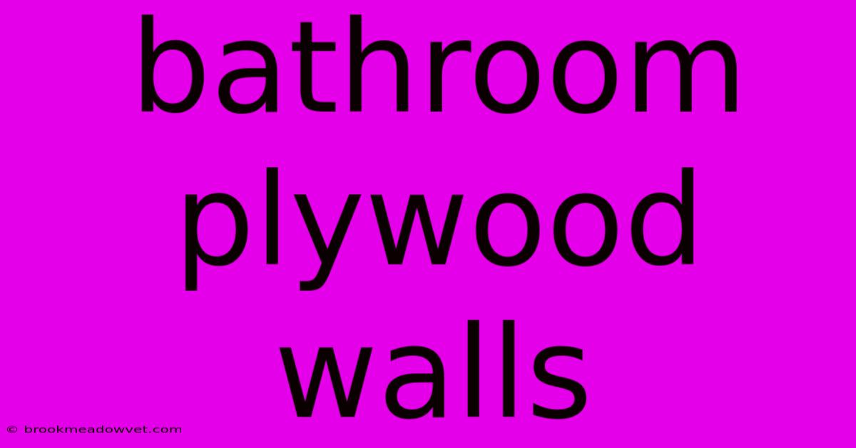 Bathroom Plywood Walls