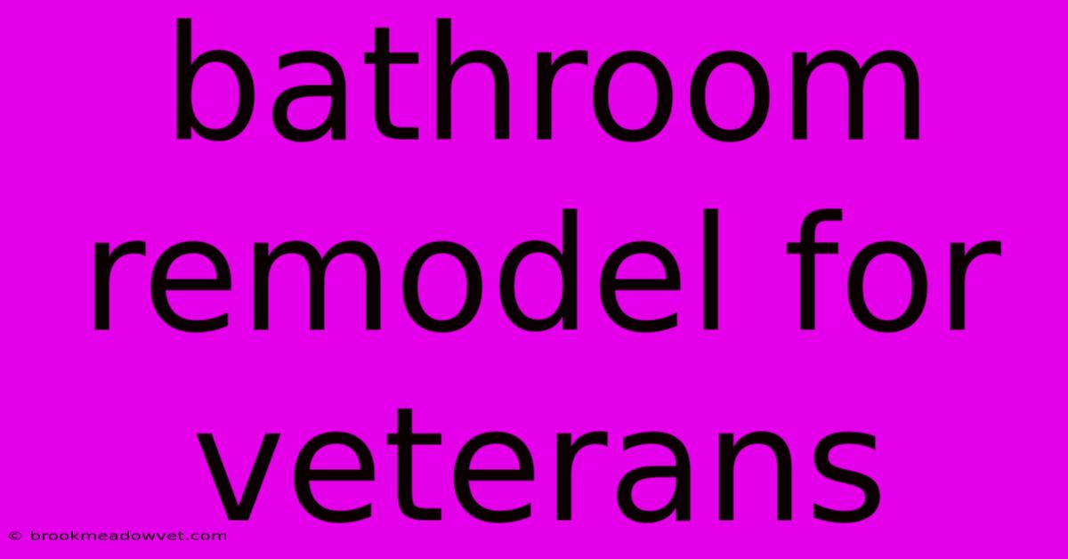 Bathroom Remodel For Veterans