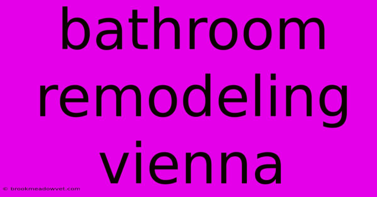 Bathroom Remodeling Vienna