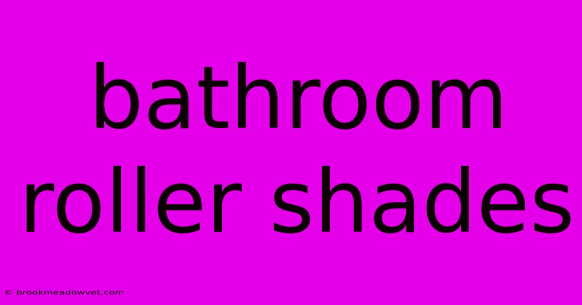 Bathroom Roller Shades