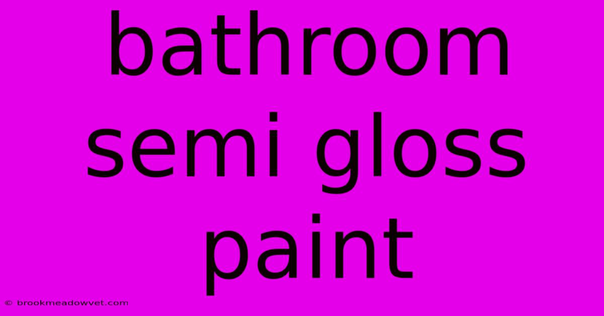 Bathroom Semi Gloss Paint