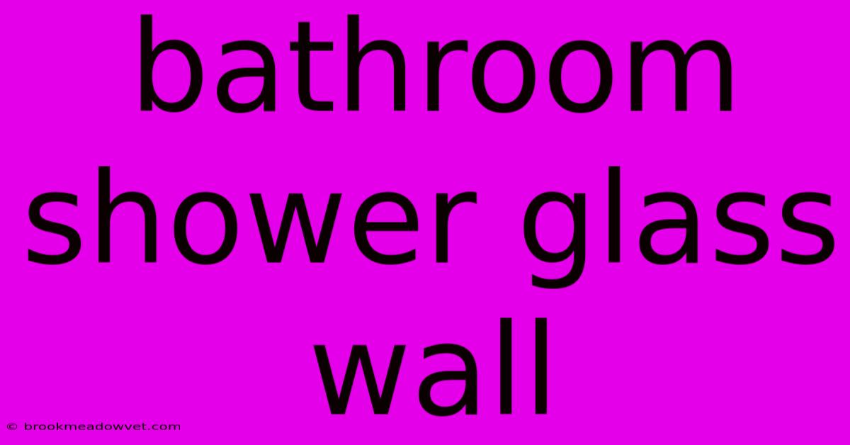 Bathroom Shower Glass Wall