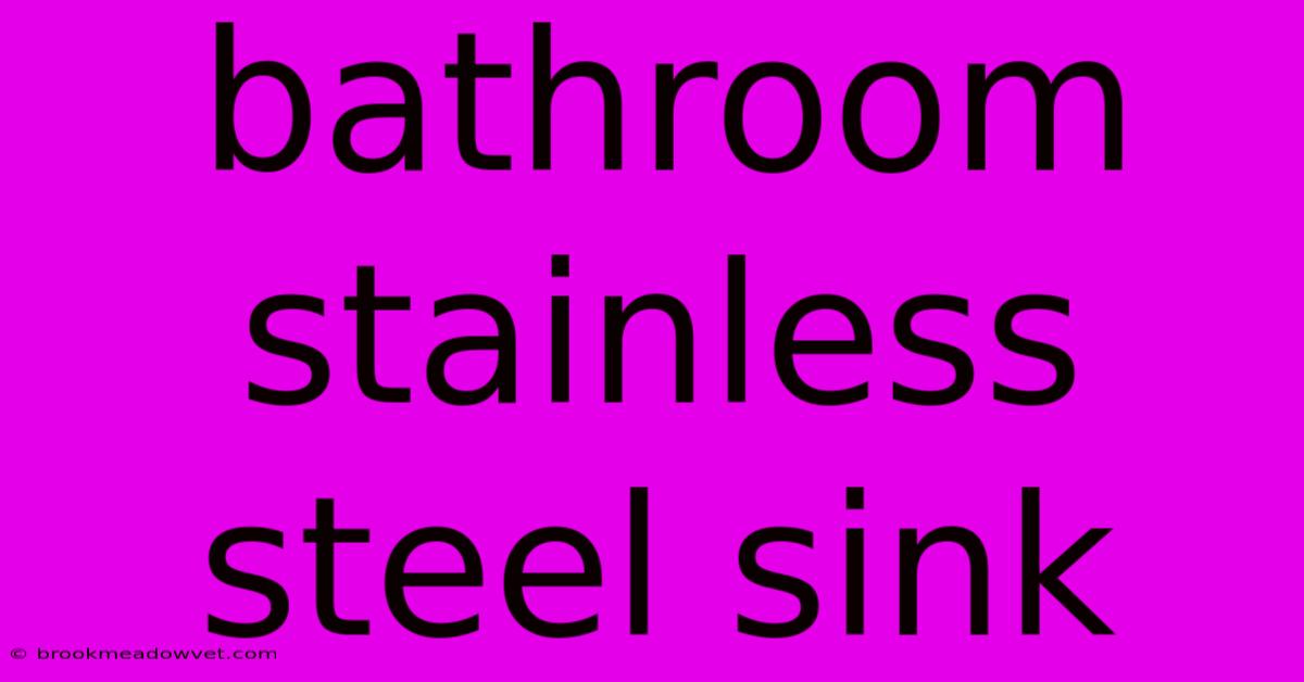 Bathroom Stainless Steel Sink