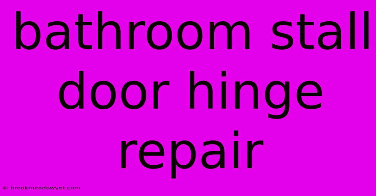 Bathroom Stall Door Hinge Repair