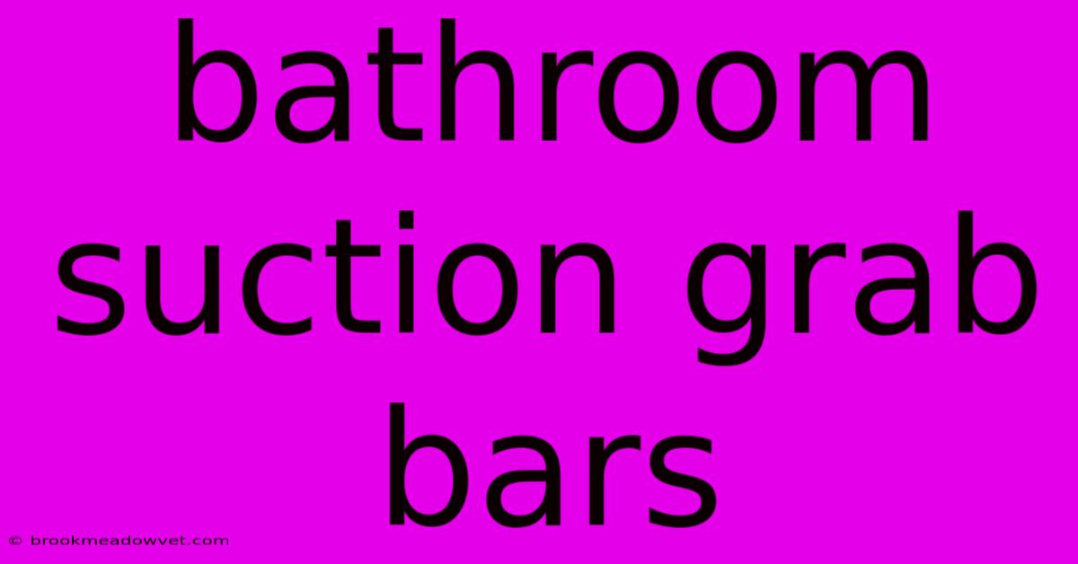 Bathroom Suction Grab Bars