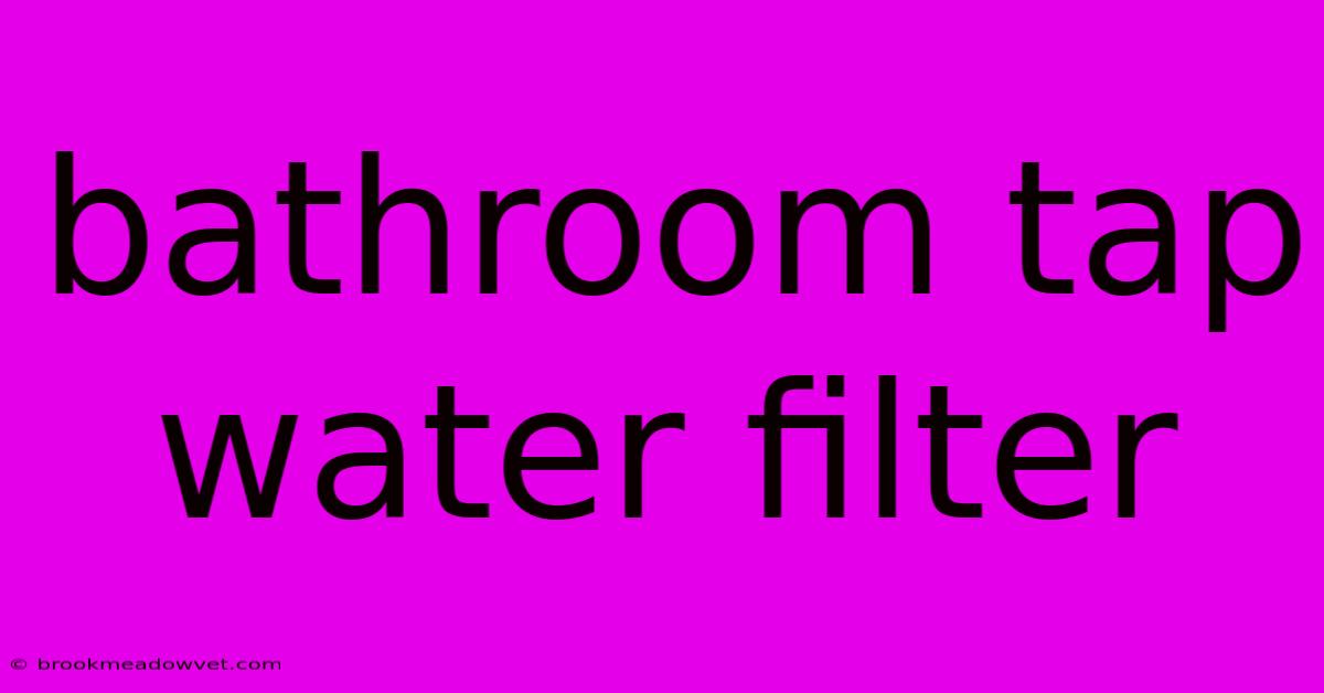 Bathroom Tap Water Filter