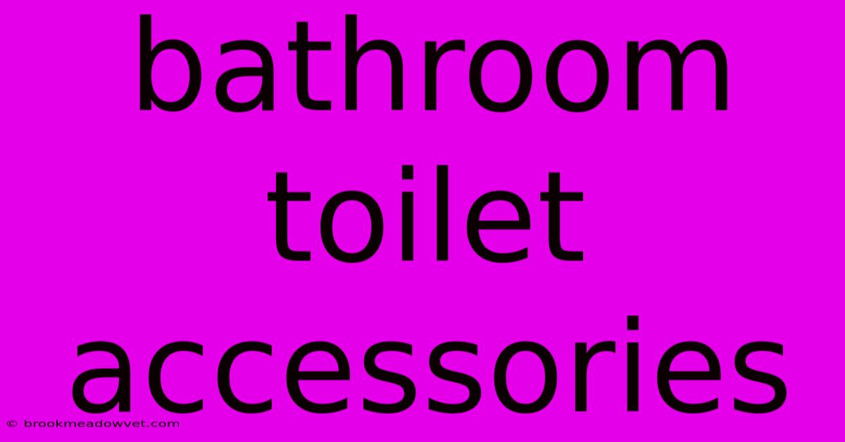 Bathroom Toilet Accessories