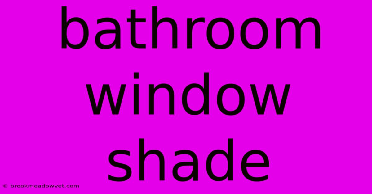 Bathroom Window Shade