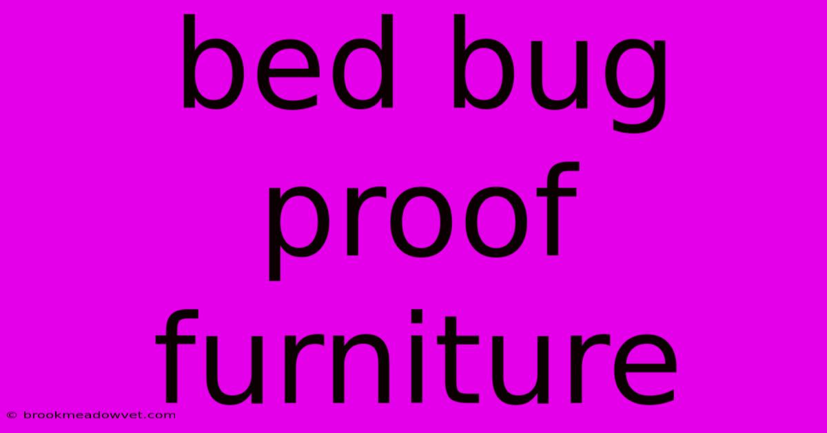 Bed Bug Proof Furniture