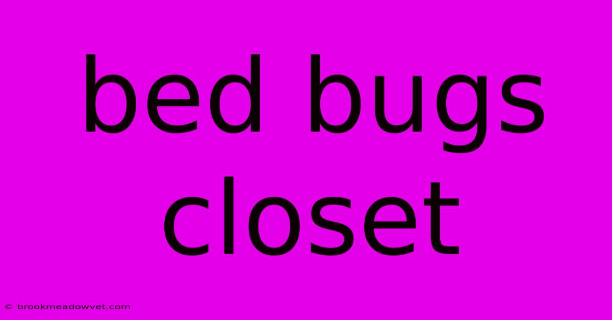 Bed Bugs Closet