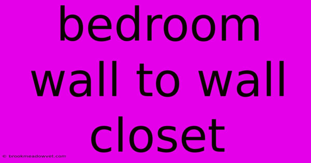 Bedroom Wall To Wall Closet