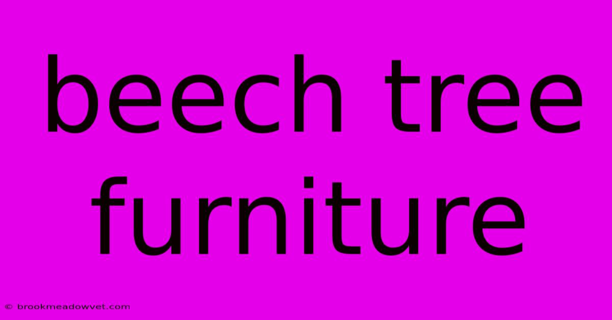 Beech Tree Furniture