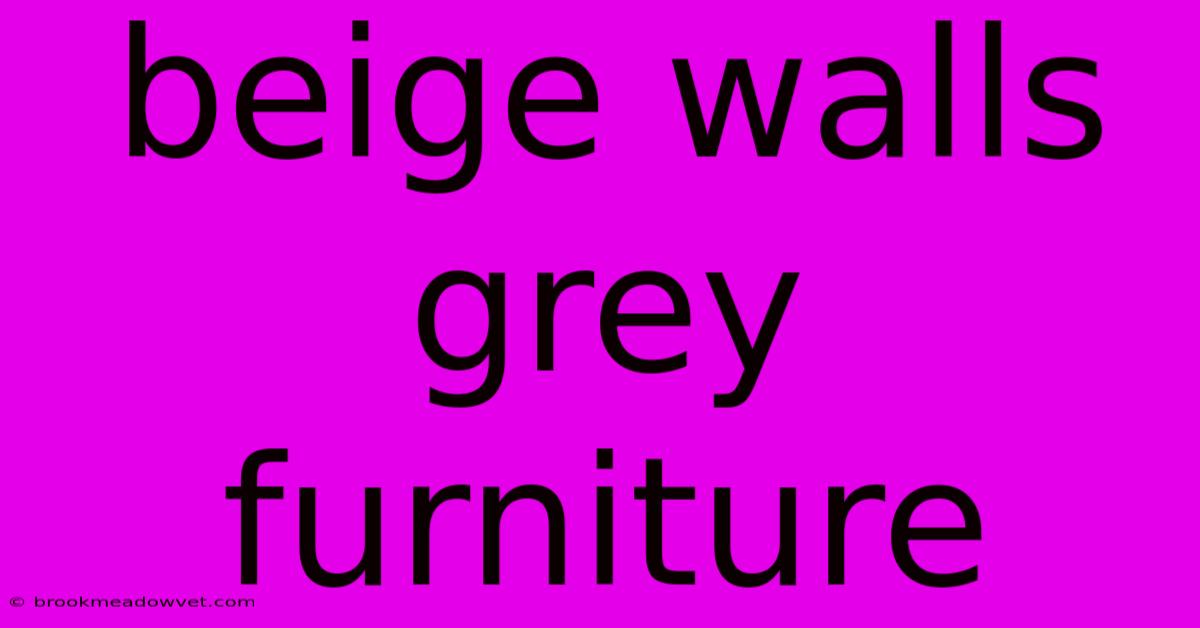 Beige Walls Grey Furniture