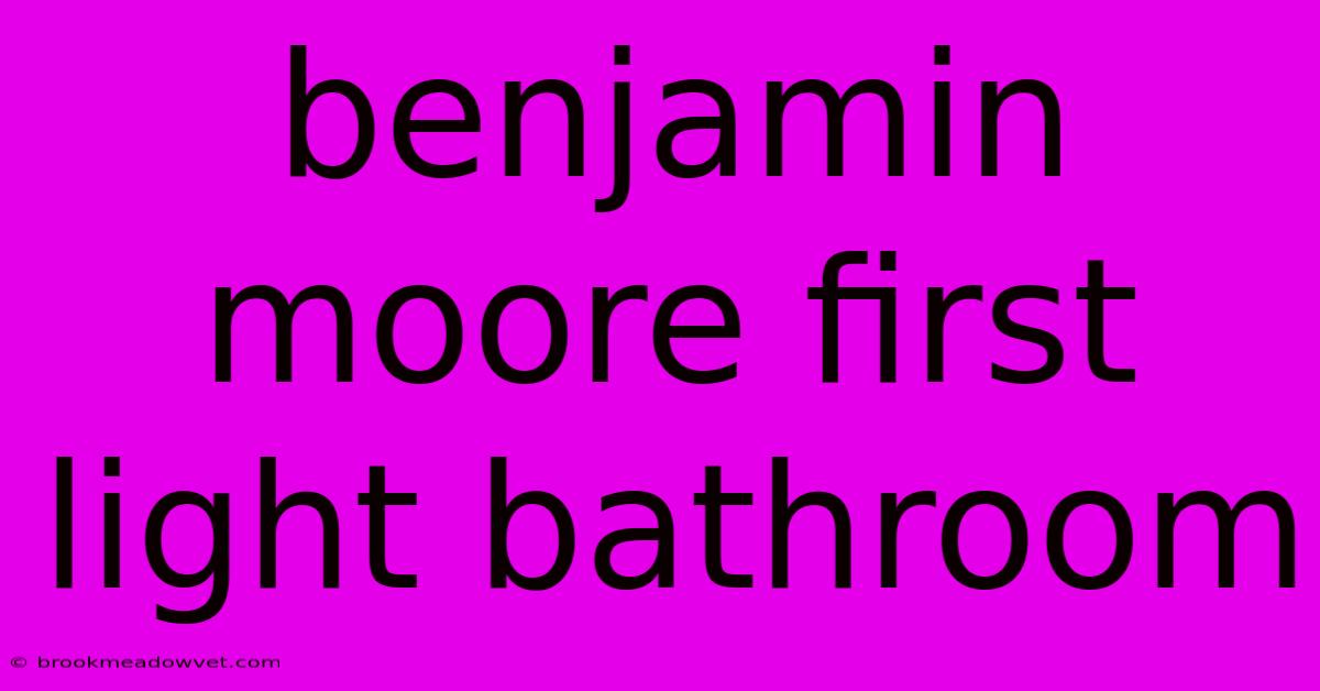 Benjamin Moore First Light Bathroom