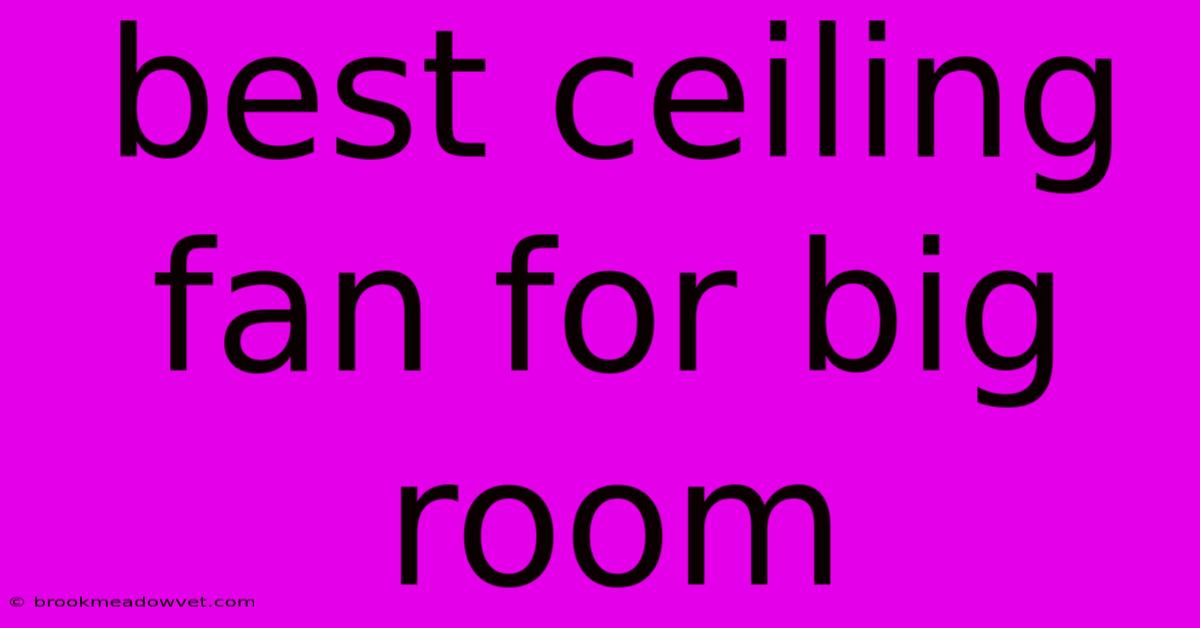 Best Ceiling Fan For Big Room