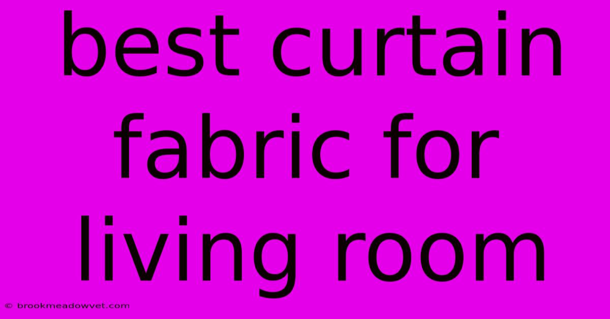 Best Curtain Fabric For Living Room