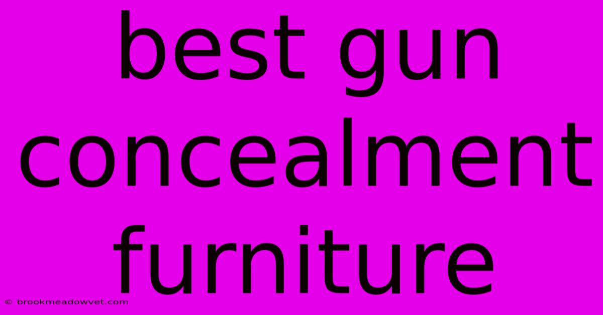 Best Gun Concealment Furniture