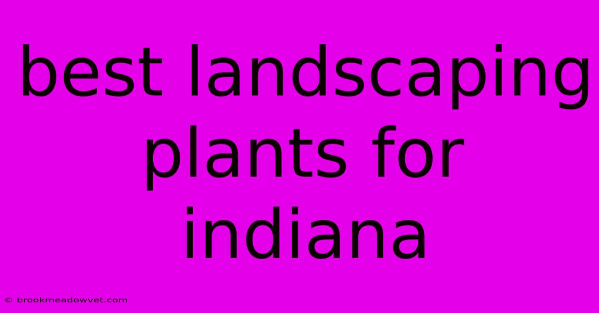 Best Landscaping Plants For Indiana