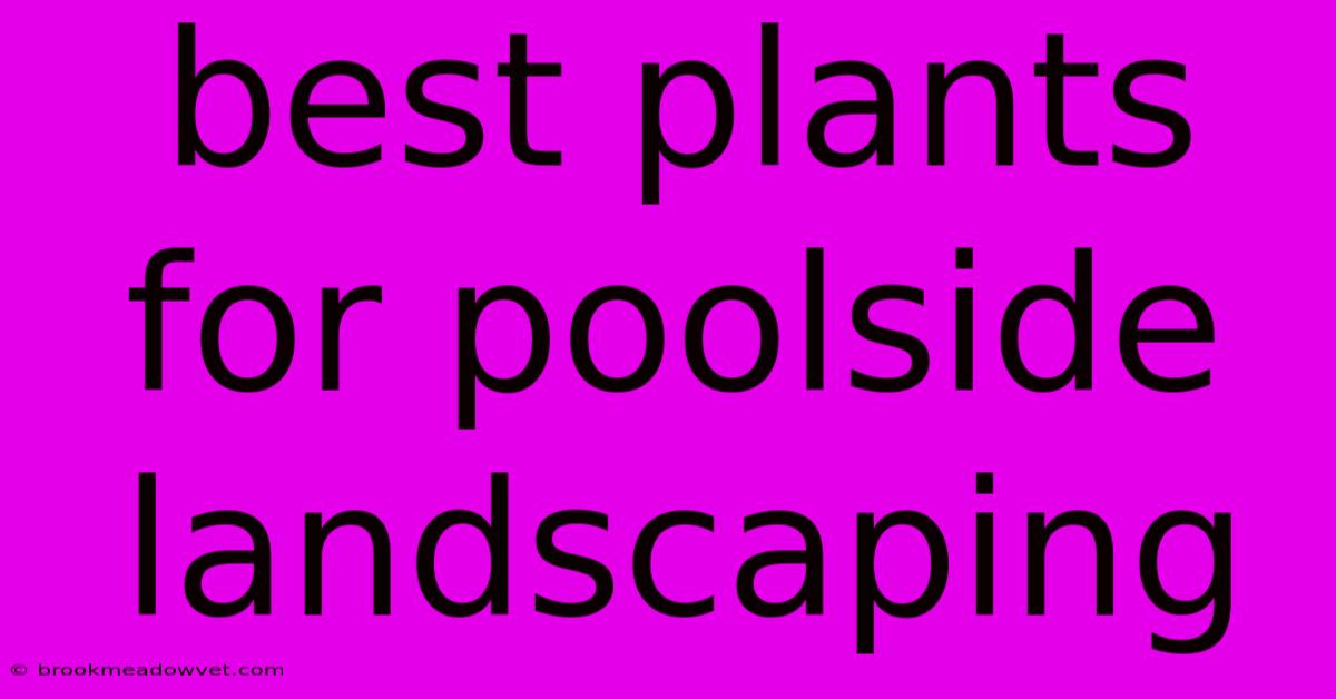 Best Plants For Poolside Landscaping