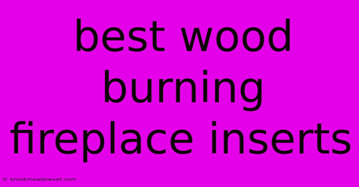 Best Wood Burning Fireplace Inserts