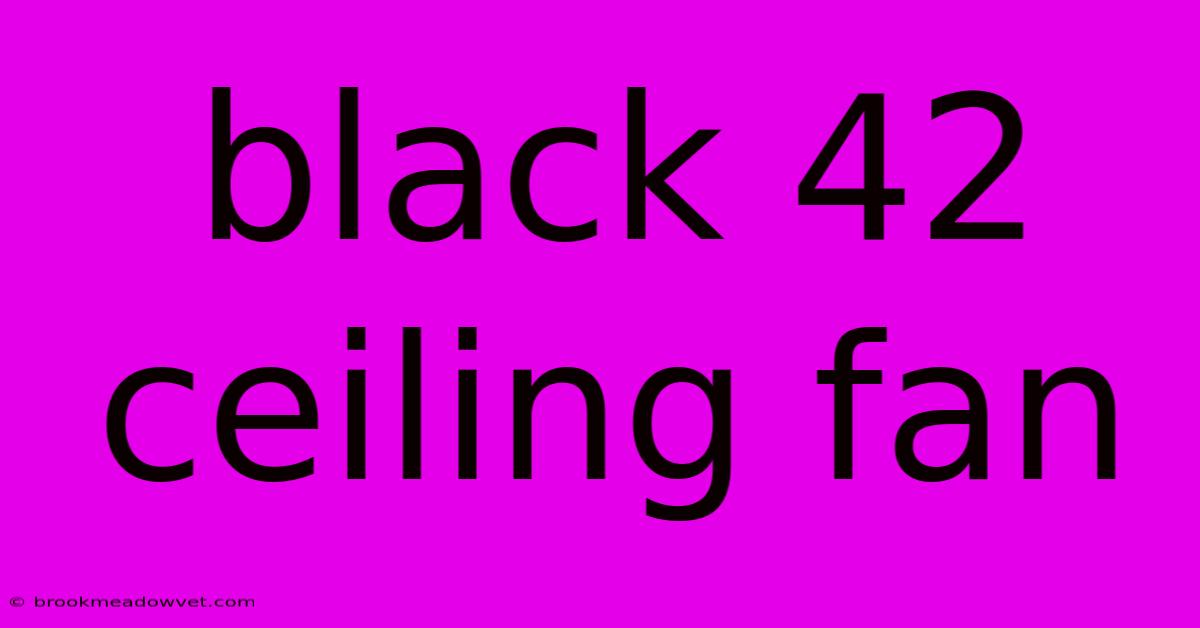 Black 42 Ceiling Fan