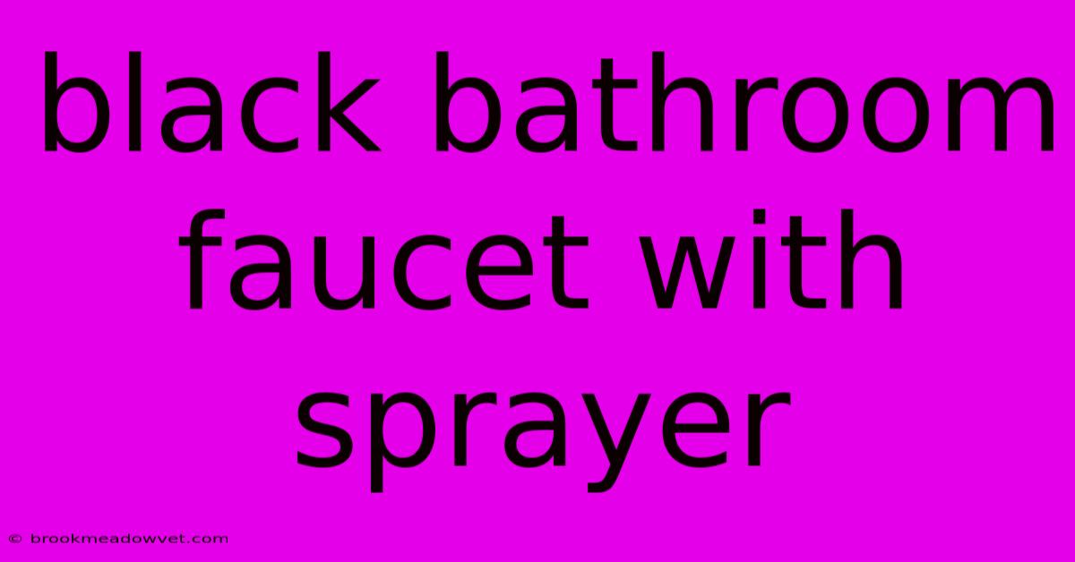 Black Bathroom Faucet With Sprayer