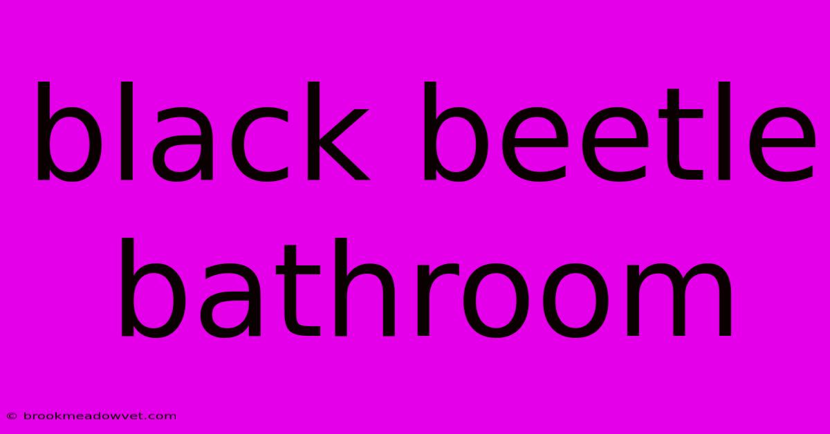 Black Beetle Bathroom