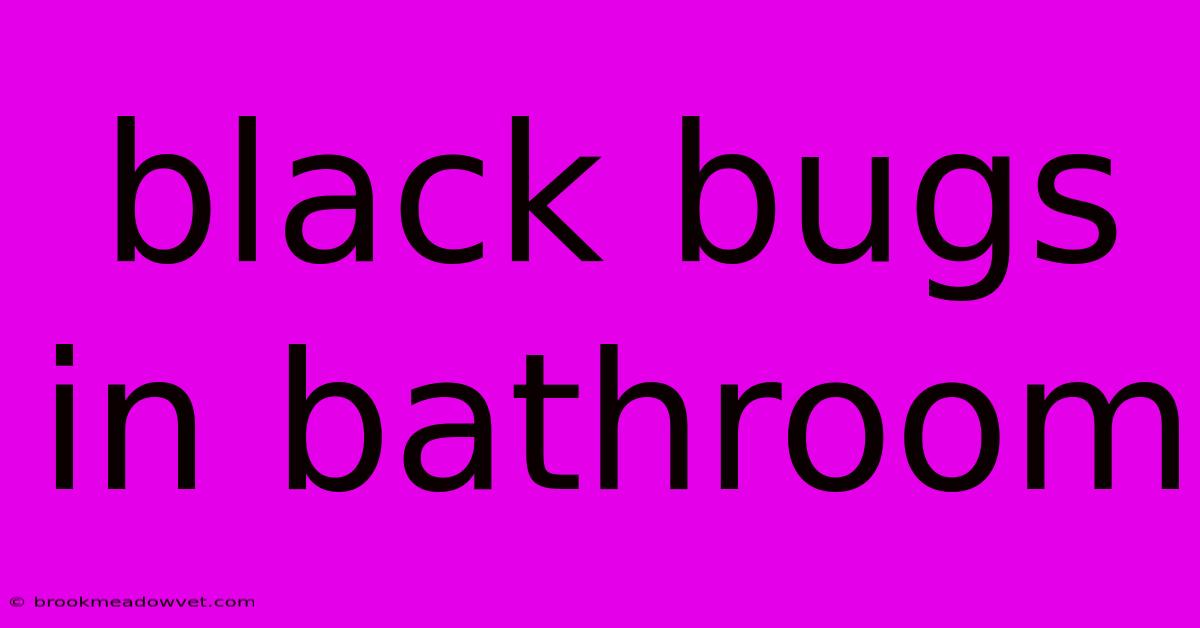 Black Bugs In Bathroom