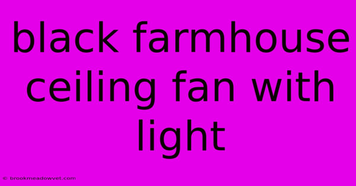 Black Farmhouse Ceiling Fan With Light