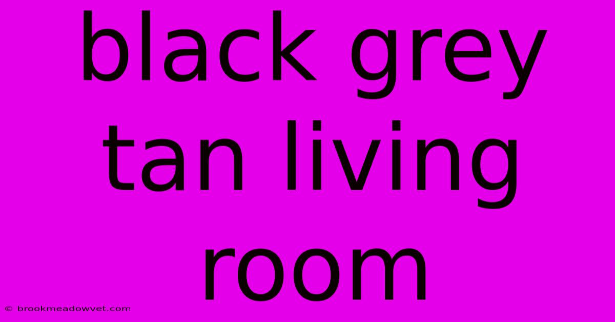 Black Grey Tan Living Room