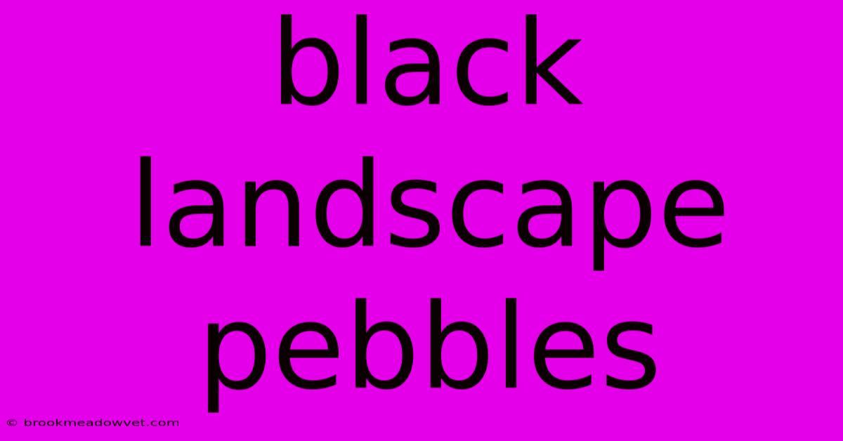 Black Landscape Pebbles