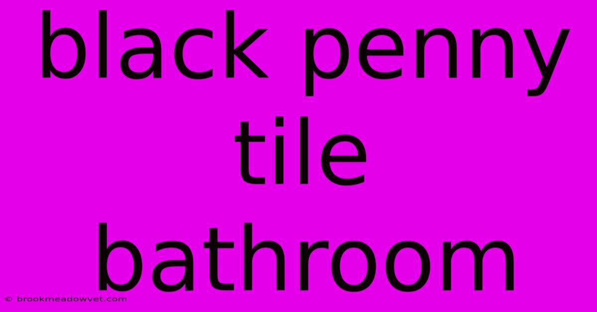 Black Penny Tile Bathroom