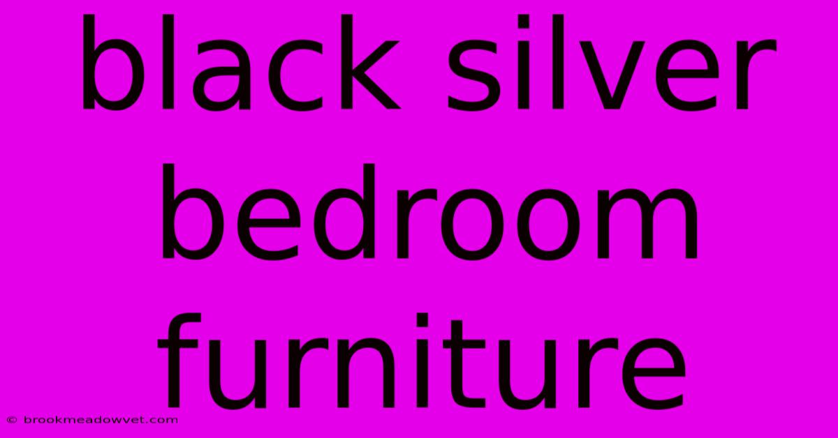 Black Silver Bedroom Furniture