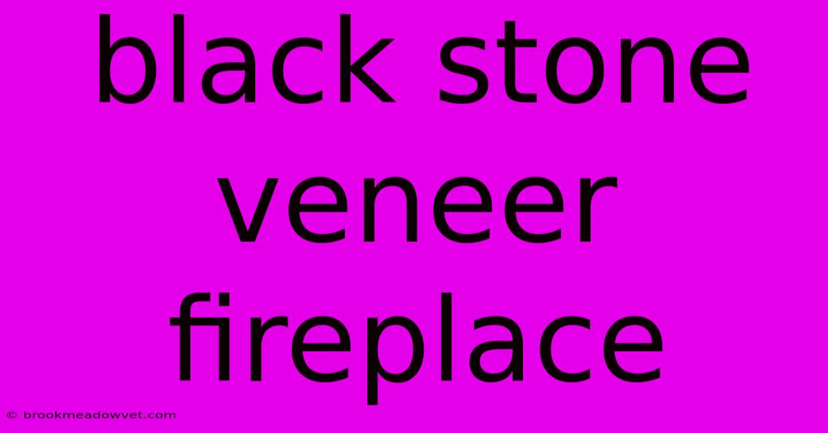 Black Stone Veneer Fireplace