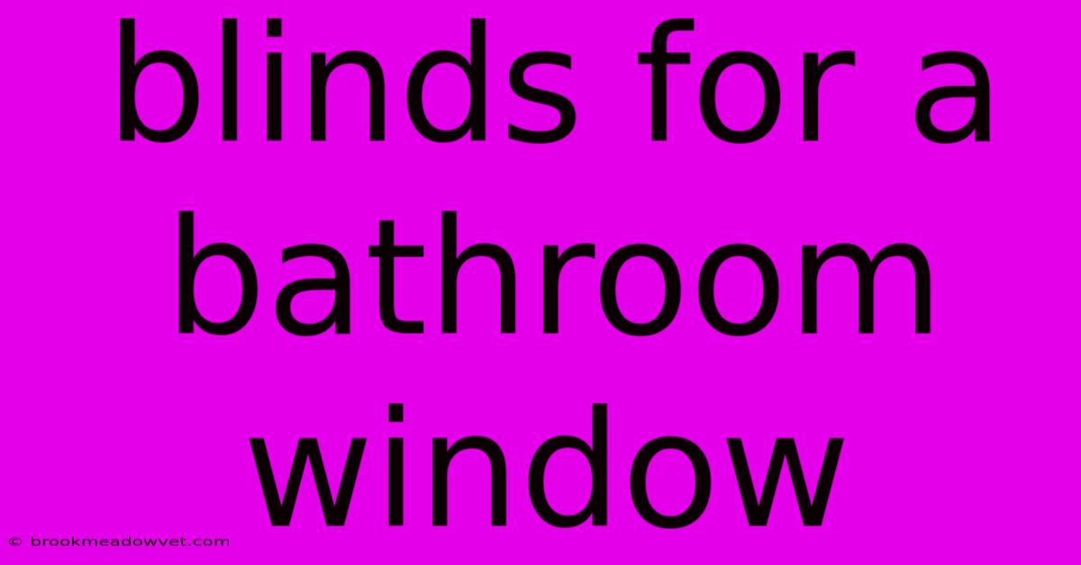 Blinds For A Bathroom Window