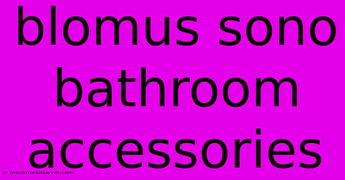 Blomus Sono Bathroom Accessories