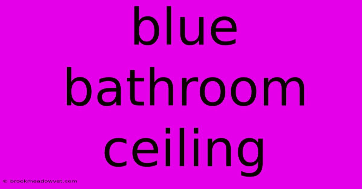 Blue Bathroom Ceiling