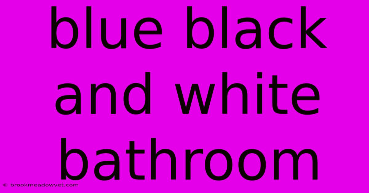 Blue Black And White Bathroom