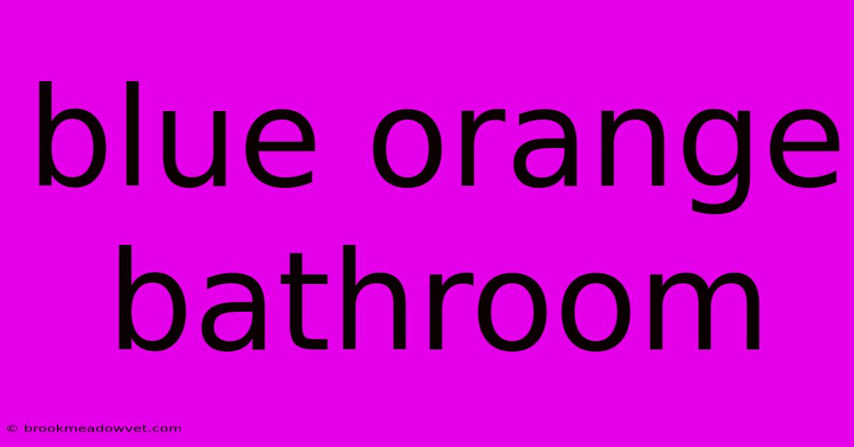 Blue Orange Bathroom