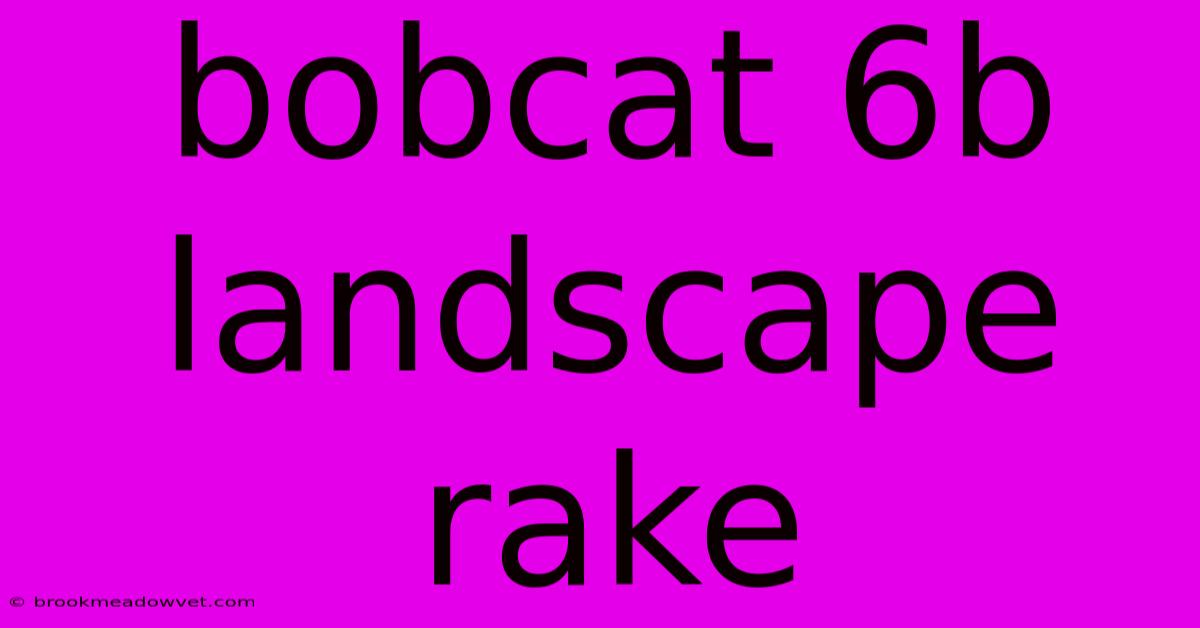 Bobcat 6b Landscape Rake