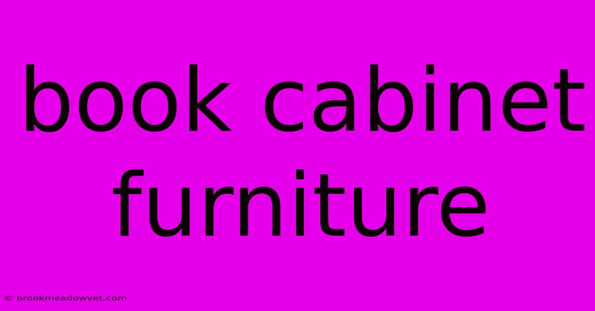 Book Cabinet Furniture