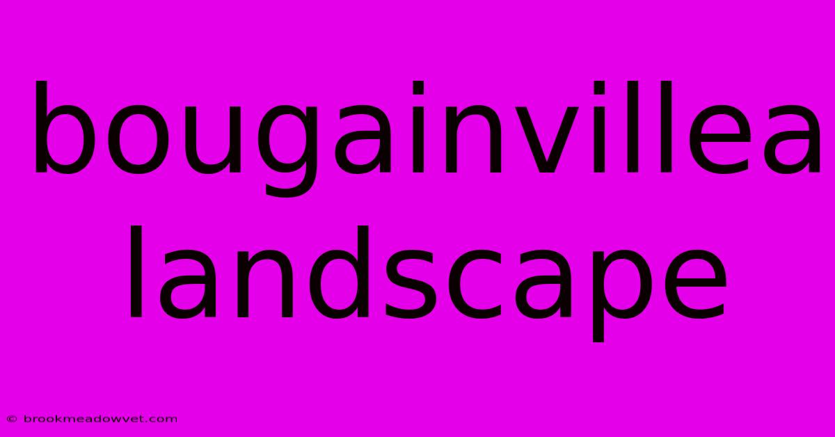 Bougainvillea Landscape