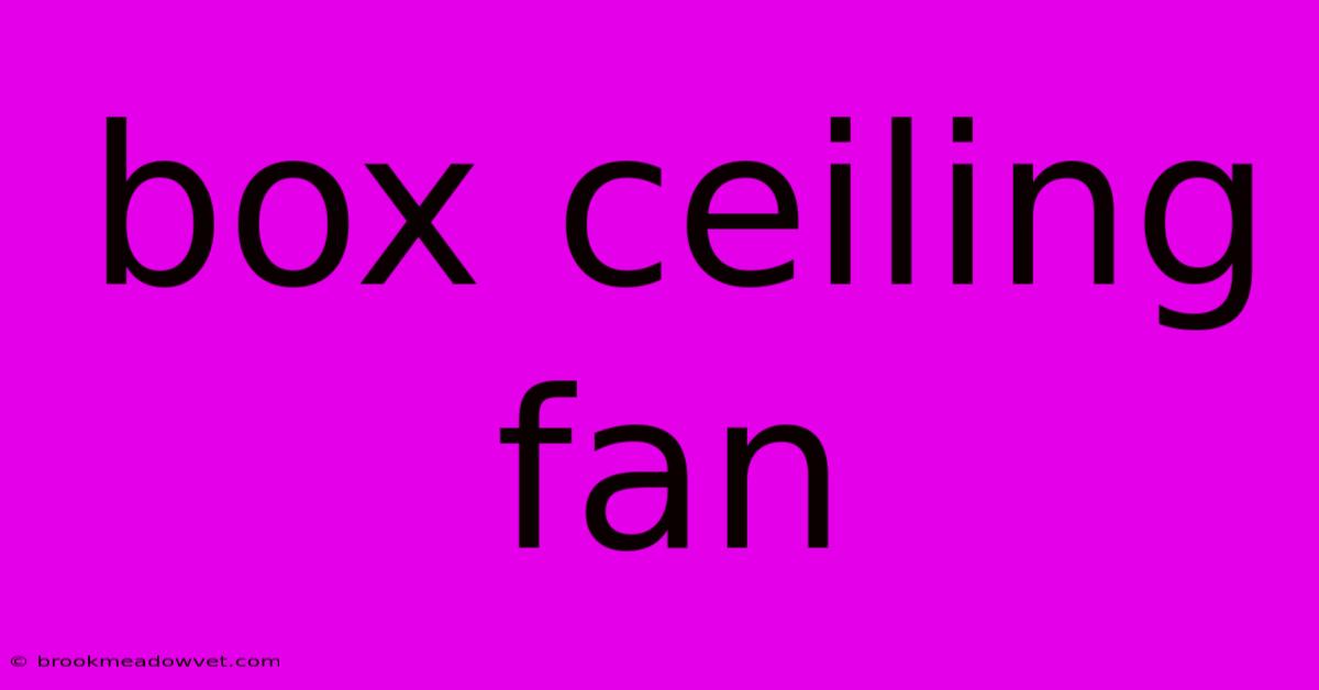 Box Ceiling Fan