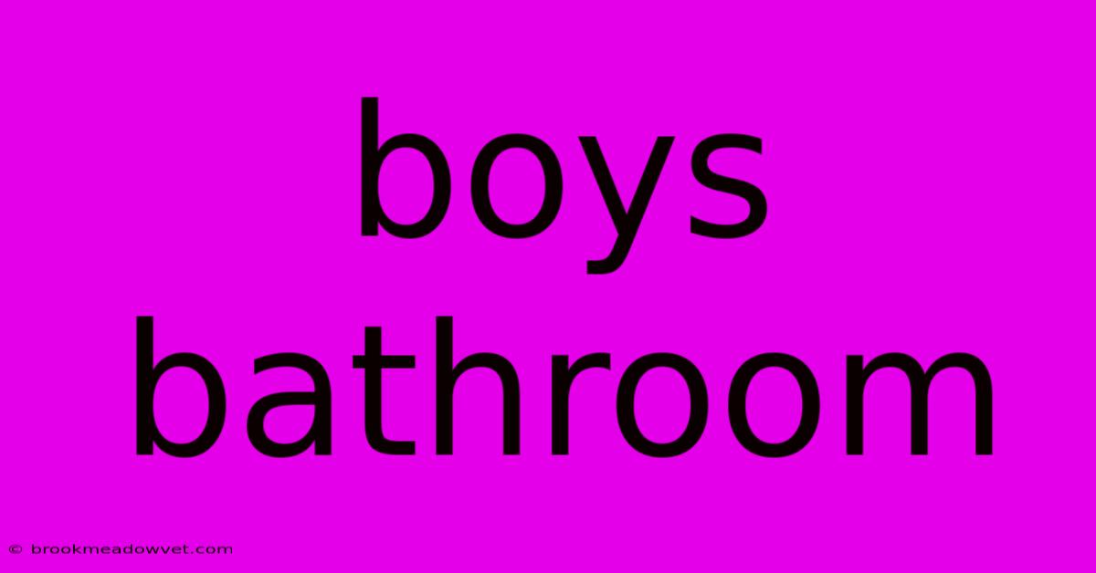 Boys Bathroom