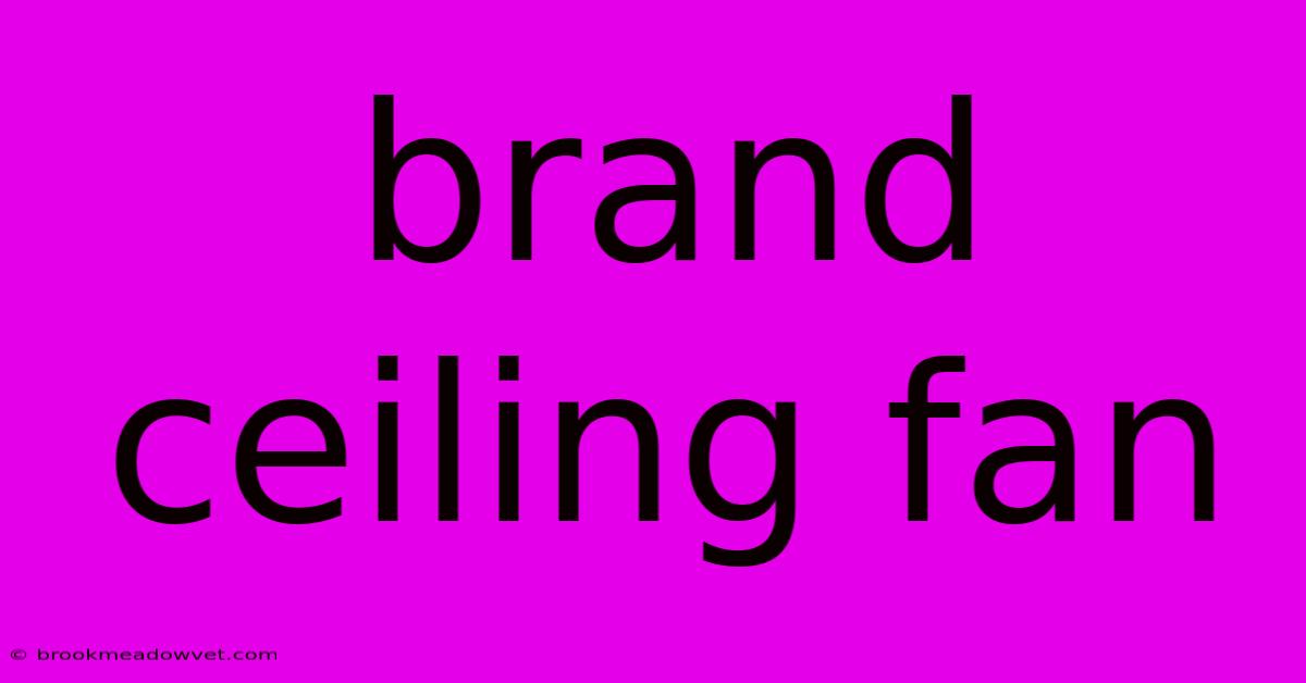 Brand Ceiling Fan