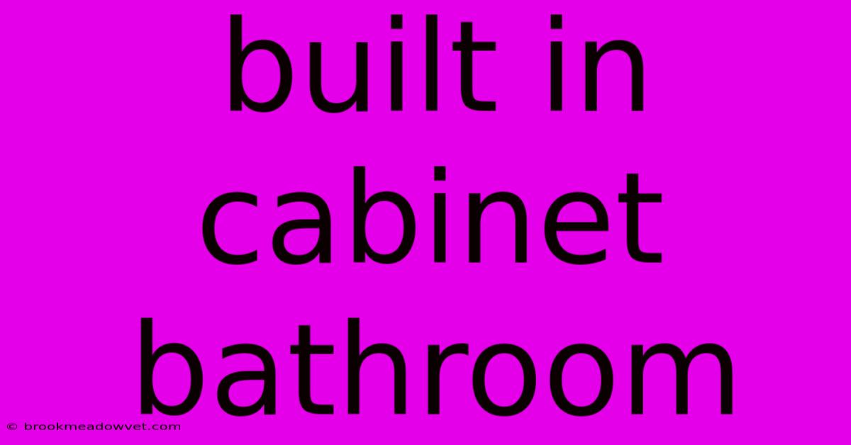 Built In Cabinet Bathroom