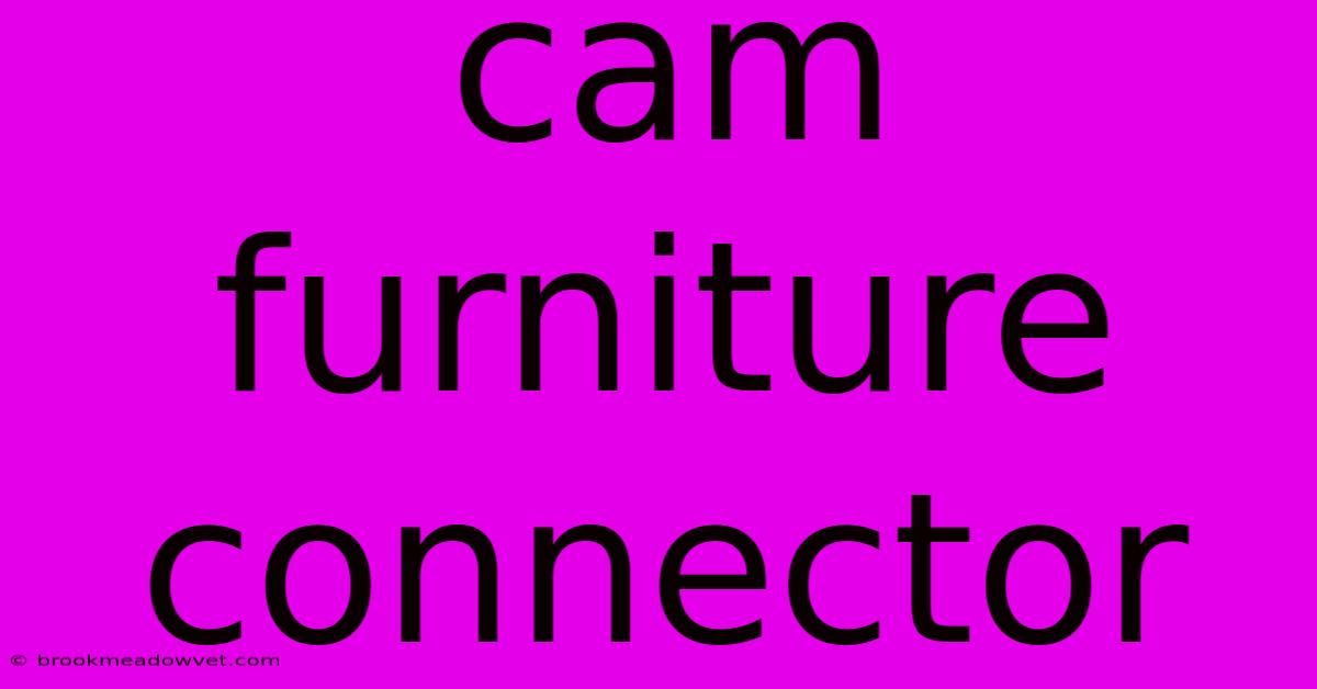 Cam Furniture Connector