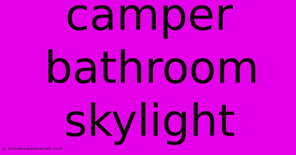 Camper Bathroom Skylight