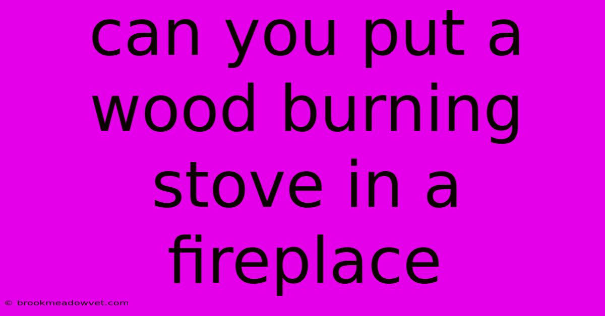 Can You Put A Wood Burning Stove In A Fireplace